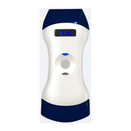 Dual-Head Wireless Color Doppler Ultrasound Probe 1